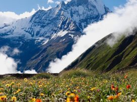 Best Monsoon Treks in Nepal for Beginners