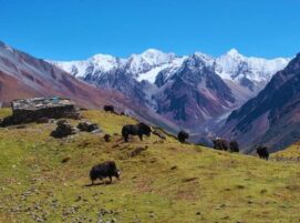 How to reach Tsum Valley from Kathmandu ?