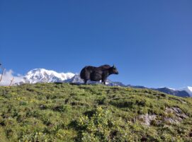 Mardi Himal Trekking Season and Weather Information