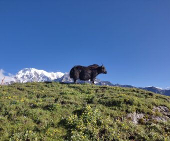 Mardi Himal Trekking Season and Weather Information