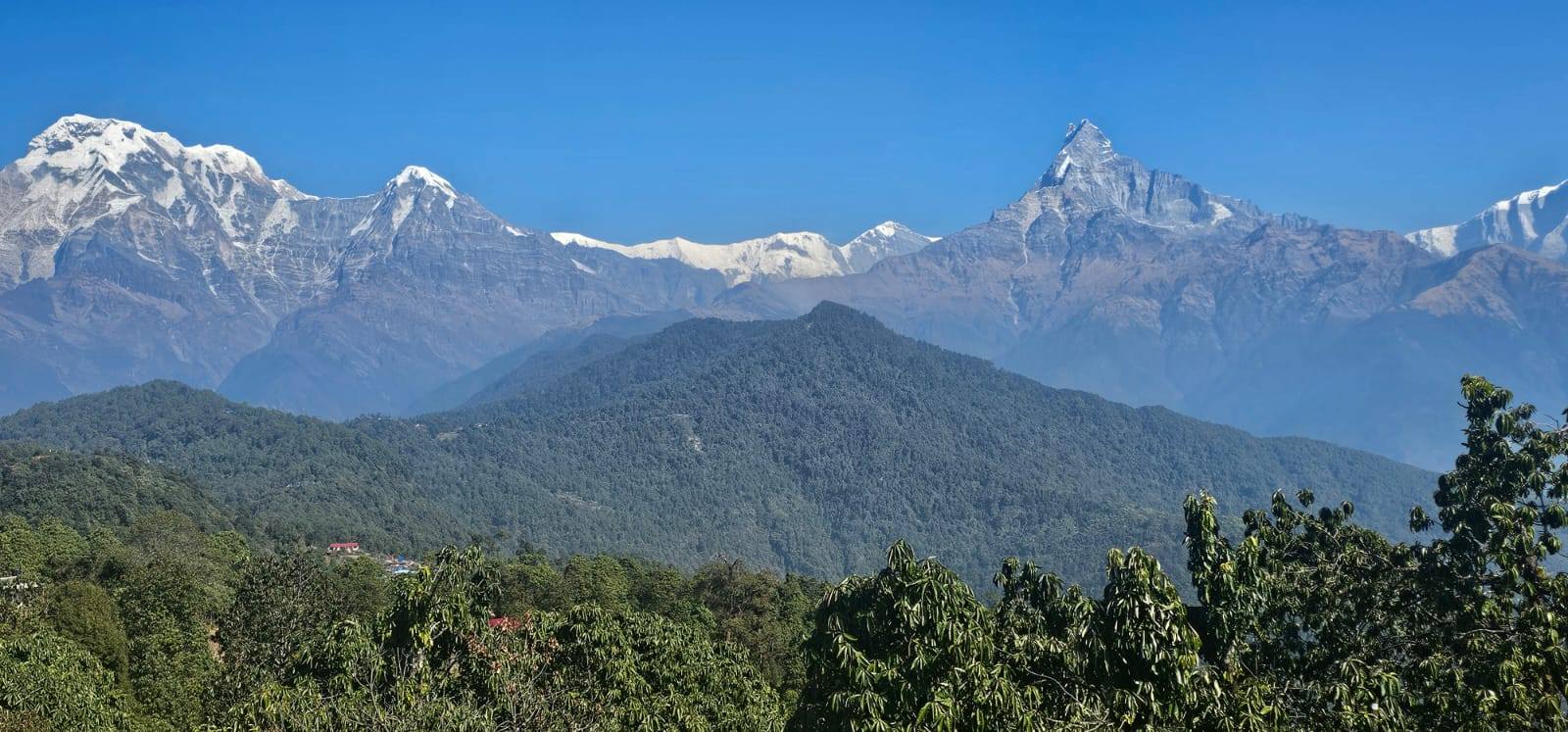 Best time for Australian Camp Trek in Nepal